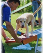 Agility Seminare