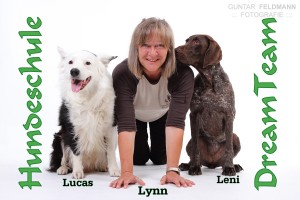 Hundeschule DreamTeam