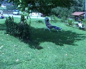 Der Garten
